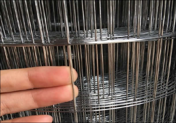 Rolls of Galvanized Welded Wire Mesh