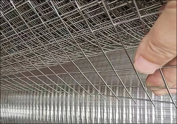 Electro-Galvanized Welded Wire Mesh