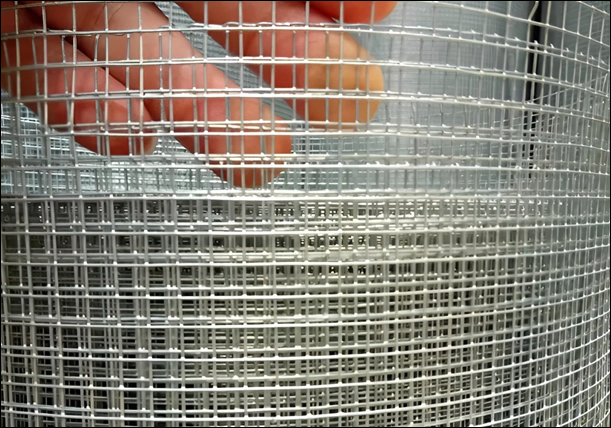 Hot-Dipped Galvanized Welded Wire Mesh - Close-Up