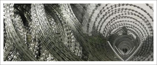 Razor Wire for Fencing